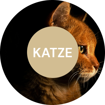 Katzenfutter