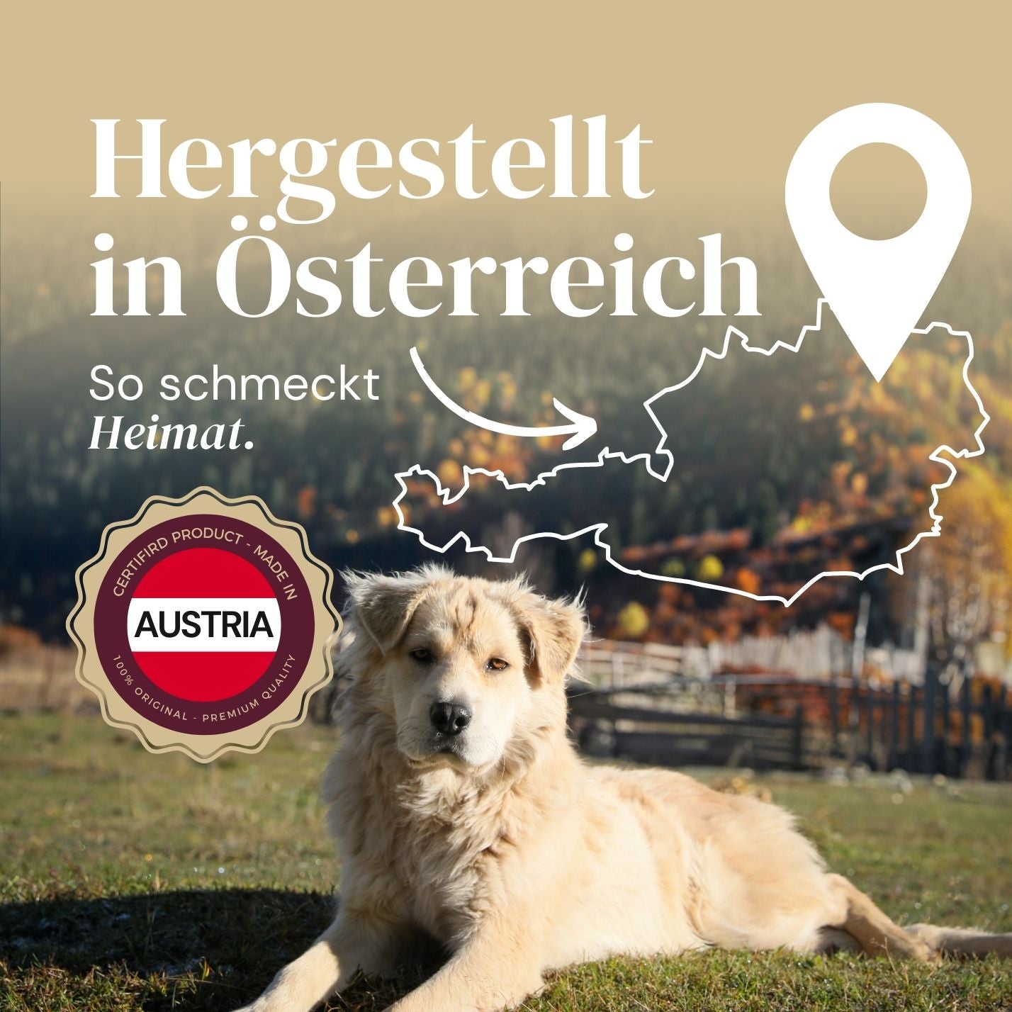 Hunde Nassfutter Huhn