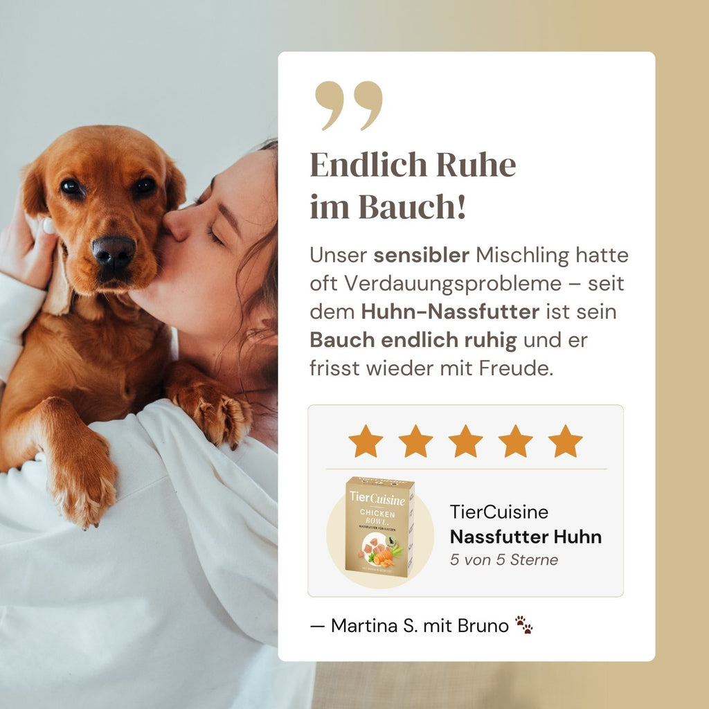 Hunde Nassfutter Huhn