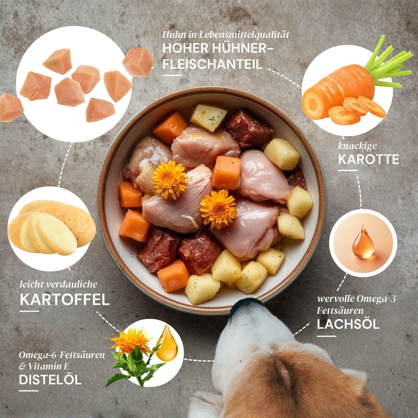 Hunde Nassfutter Huhn